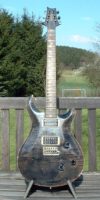 PRS- CE24 Classic-Electric24