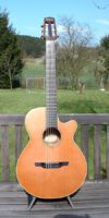 Takamine EN60C