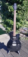 Danelectro Bariton